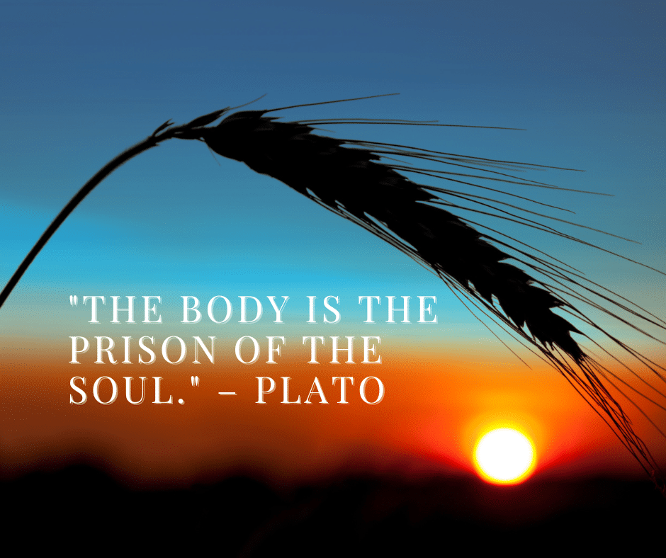 "The body is the prison of the soul."