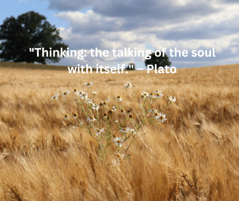 "Thinking: the talking of the soul with itself."