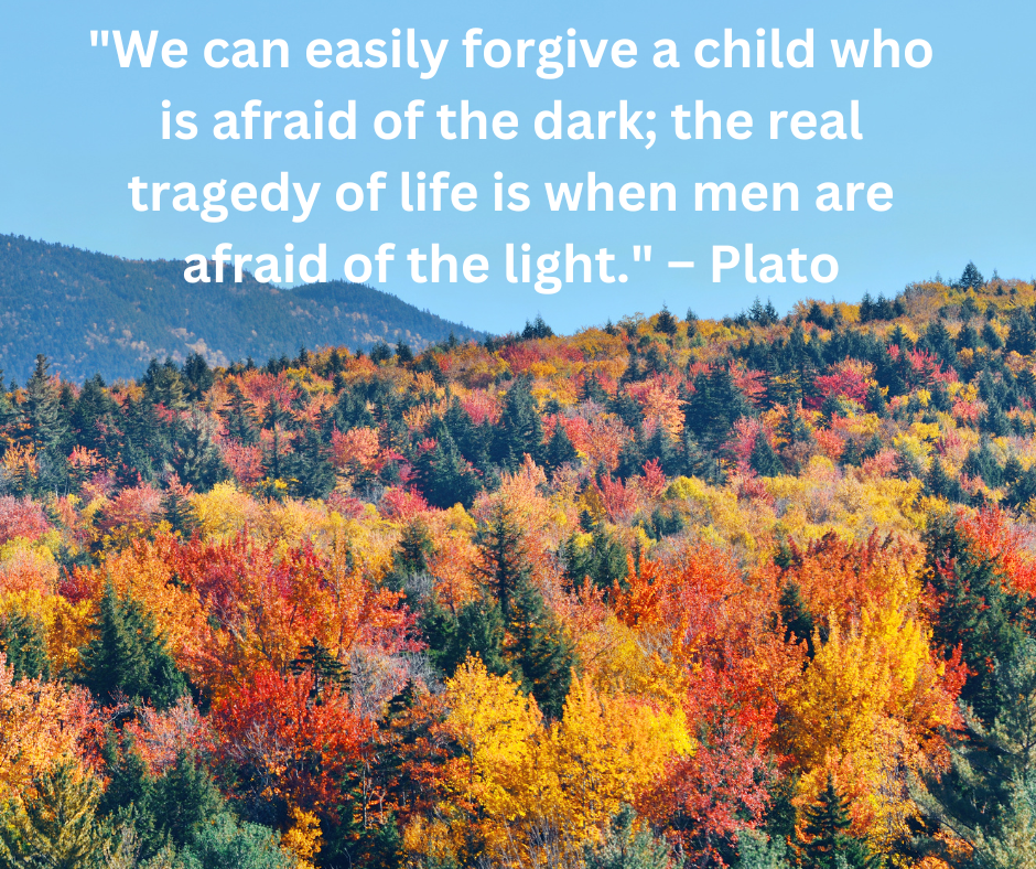  "We can easily forgive a child who is afraid of the dark; the real tragedy of life is when men are afraid of the light."