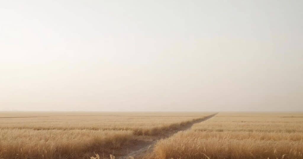 Calm open landscape with soft light and wide empty space, evoking clarity and focus