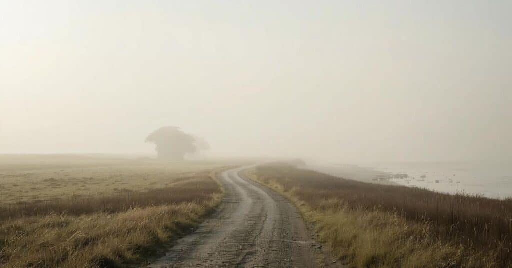 A calm, open landscape with soft light and space to breathe